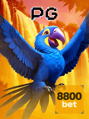 8800BET bônus — cashback 15 por cento e níveis VIP