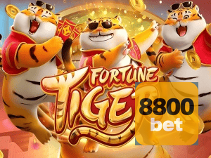 Guia install APK 8800BET BR